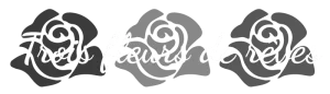 cropped-Logo-3-fleurs-fond-noir-nouveau (1)